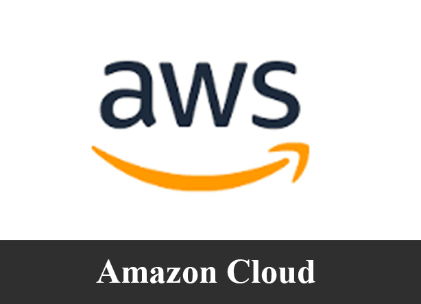AWS Cloud